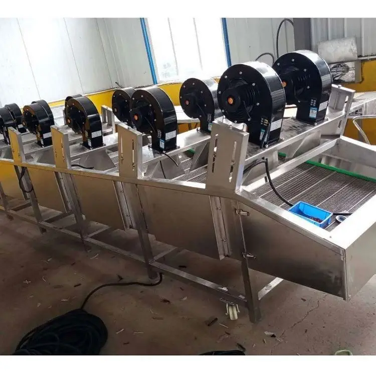 Ginger Surface Water Removing Drying Machine Turmeric air Blower Dryer Fruit and Vegetable Drying Machine