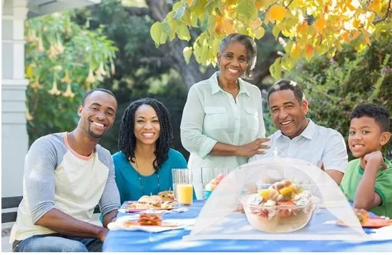 Collapsible Pop-Up Mesh Screen Food Cover Tent Umbrella for Outdoor BBQ Parties Picnics factory