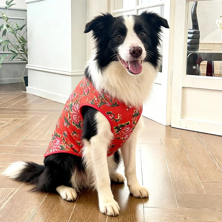 dog dress shirt Dog Dress Shirt