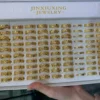 Gold 5