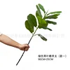 Ficus Lyrata de un solo tallo, hoja de violín, 90 cm.