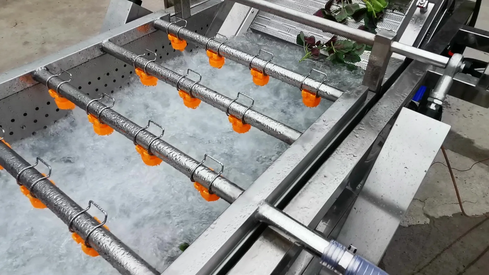 Multifunctional Broccoli Washer Double Bubble Apple Cleaner Ozone System Mussel Washing Equipment