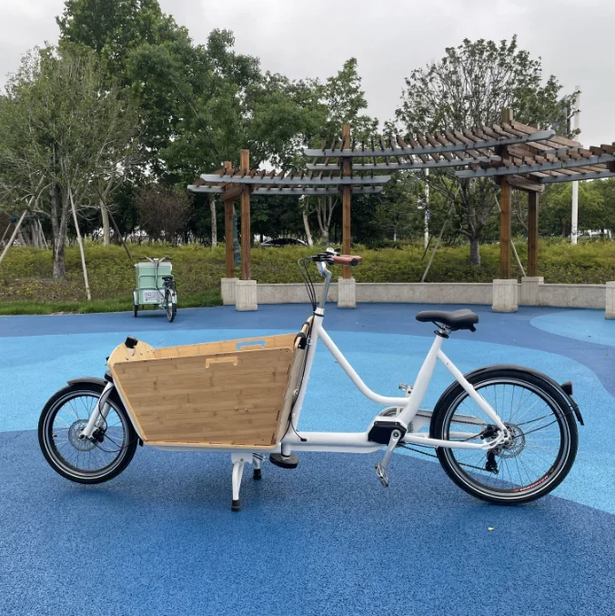 BOXU Customized Family Cargo Bike Electric Ebike E-cargo Family E Bicycle Κεντρικός κινητήρας