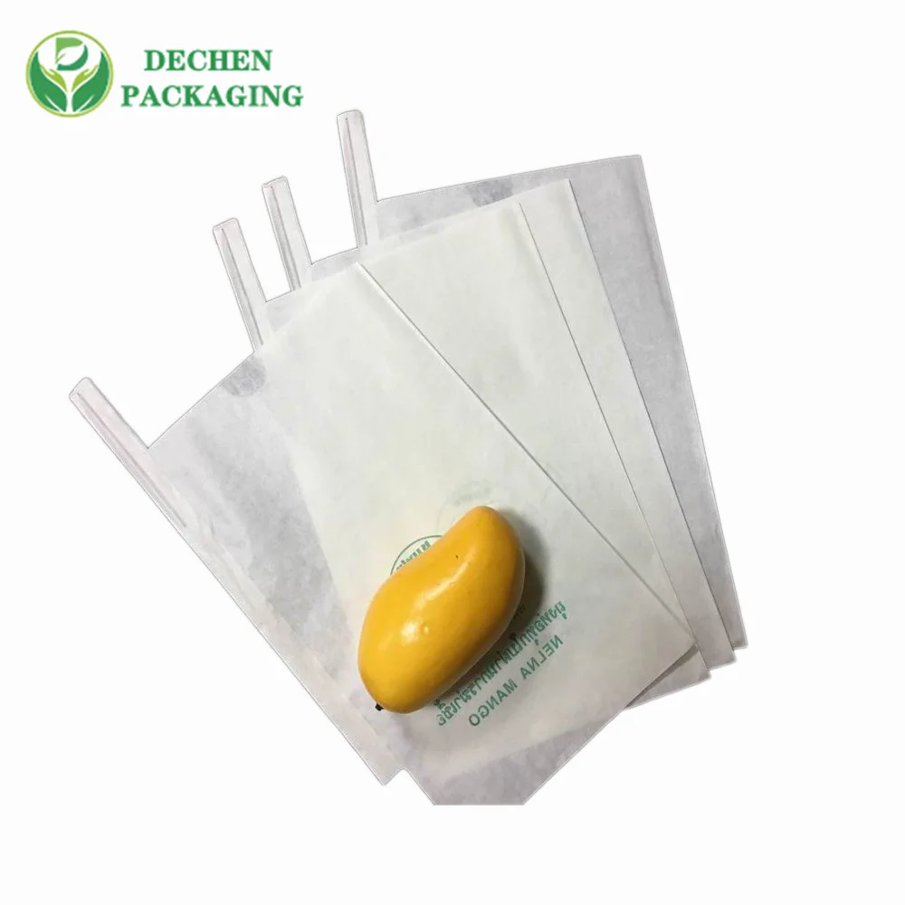 Mini sac de banane personnalisé en usine jetable imperméable à l'eau d'Apple en Chine