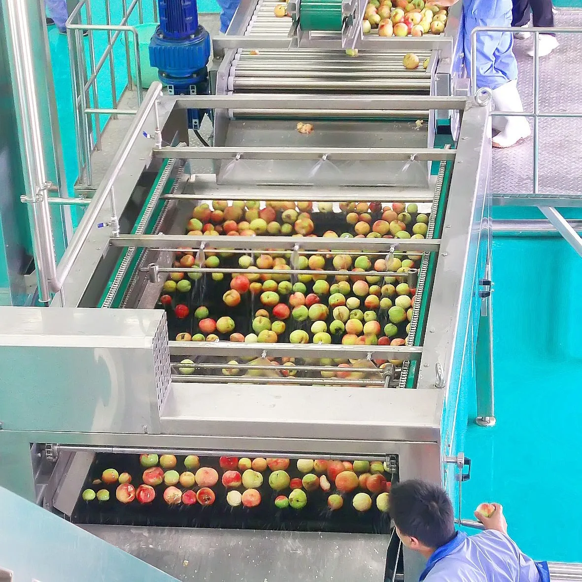 Apple Vinegar Production Line apple Sorting Machine