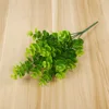 Eucalyptus