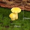 No. 8 Fungus Corianderia aurea yellow