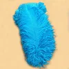 Bleu clair2