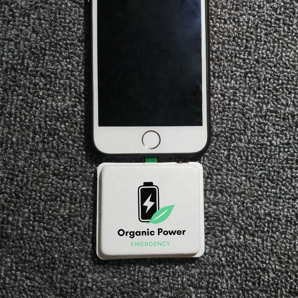 2023 Emergency Disposable  Portable Battery Mobile Charger Emergency Power Bank