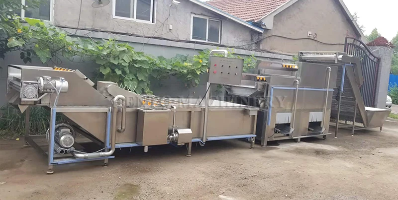Sprout Way Machine Hot Sale Automatic Bean Sprout Wash Machine / Bean Sprouts Cutting ...