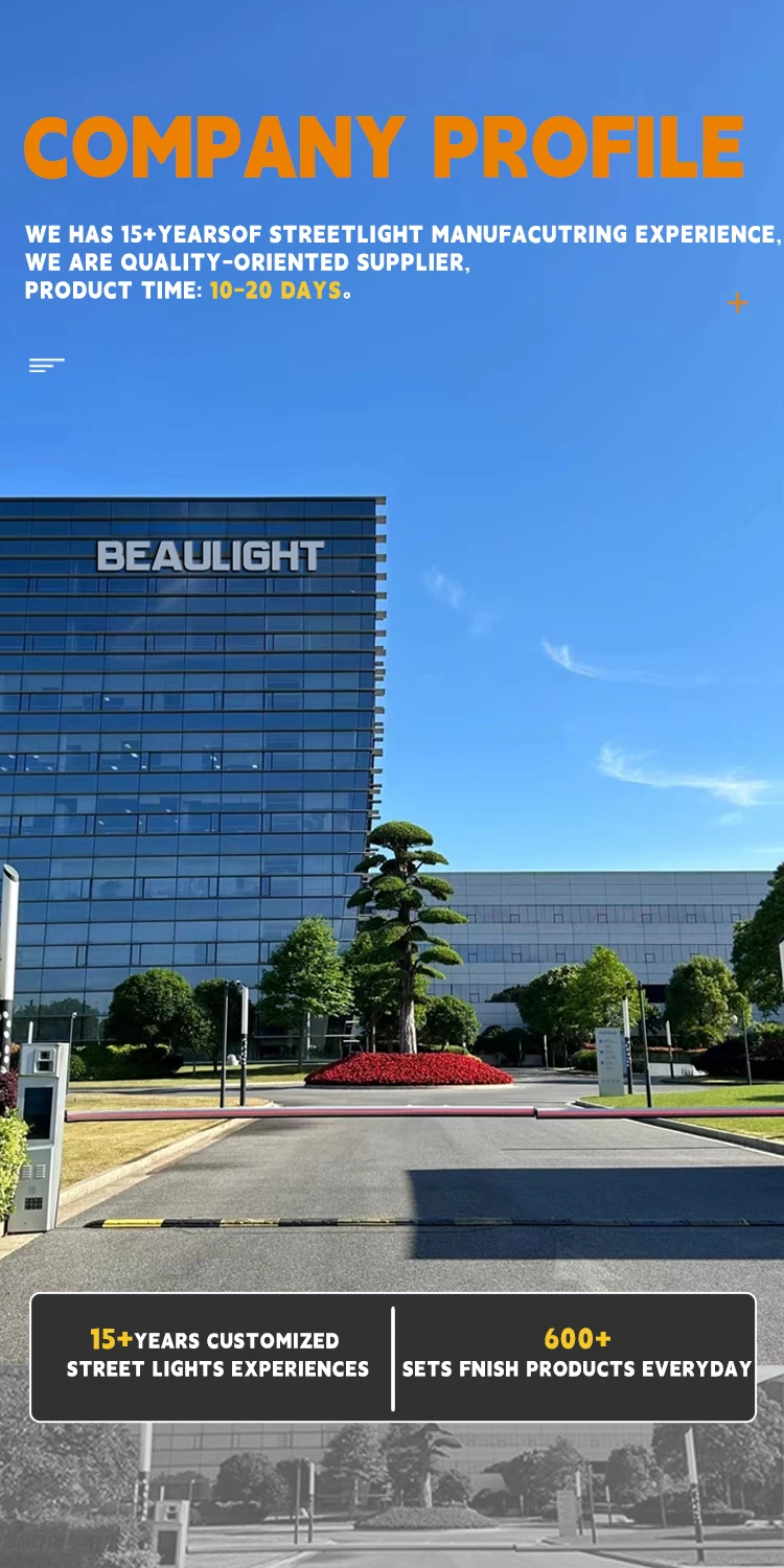 Company overview