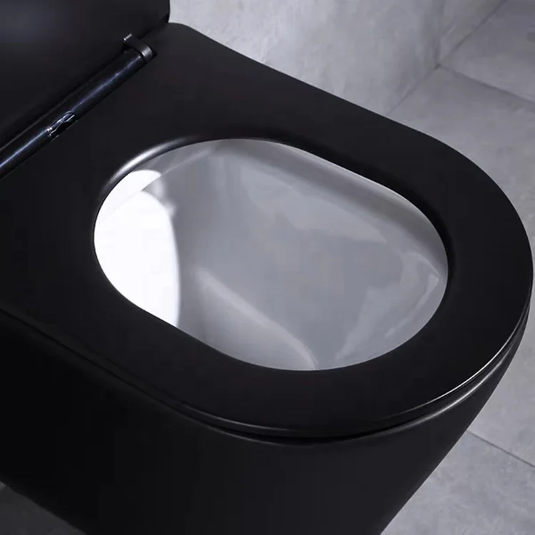 Meiyani Concealed Tank Matte Black and Colorful Bathroom Ceramic Wall Hung Toilet