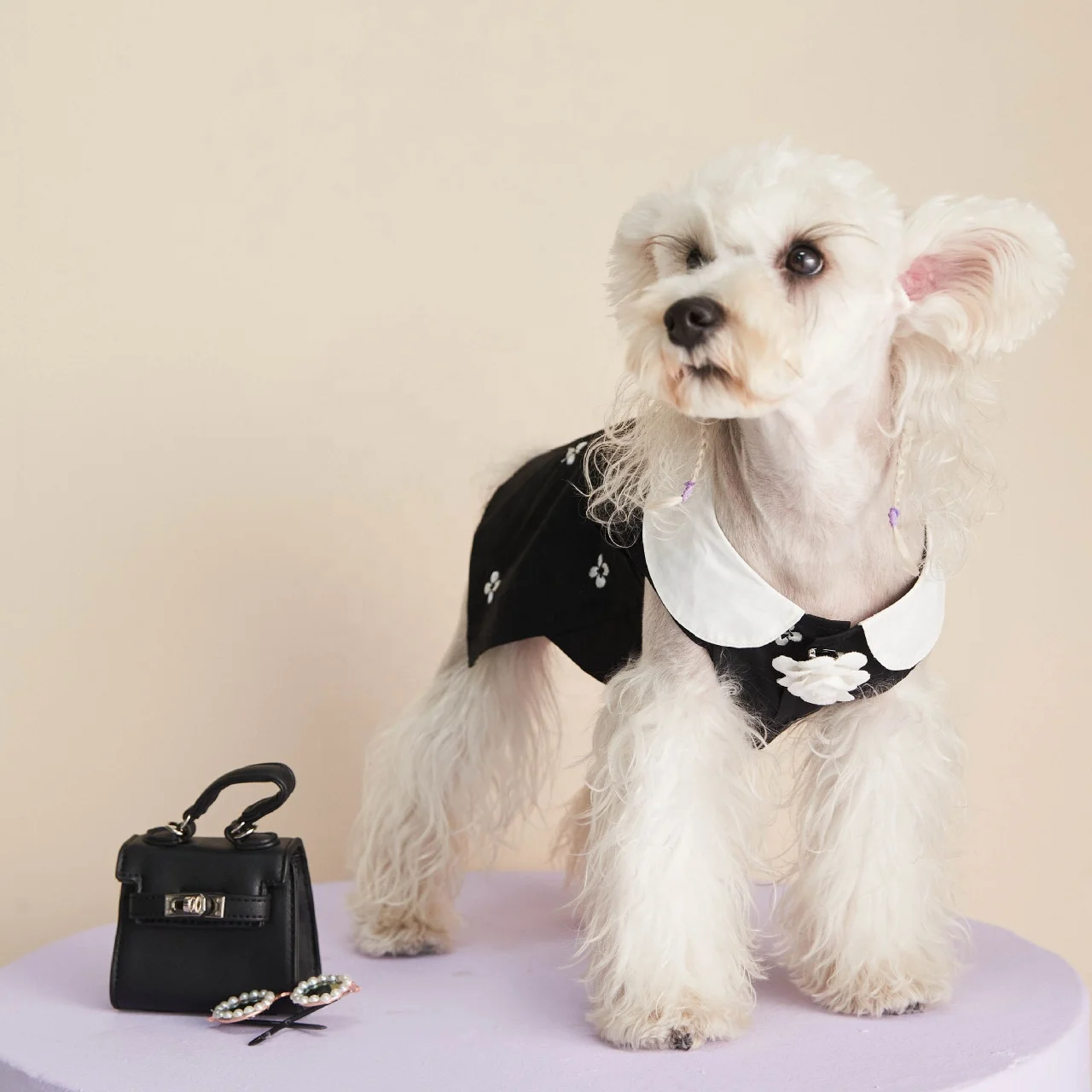 Fashion Dog Dress Pet Clothes Classic Design Black With Daisy Luxury  Designer Dog Clothes Wholesale High End Trendy Dog Clothes - Buy Luxury  Designer