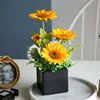 Girasol de botella negra