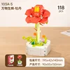 【103A-5】Pivoine