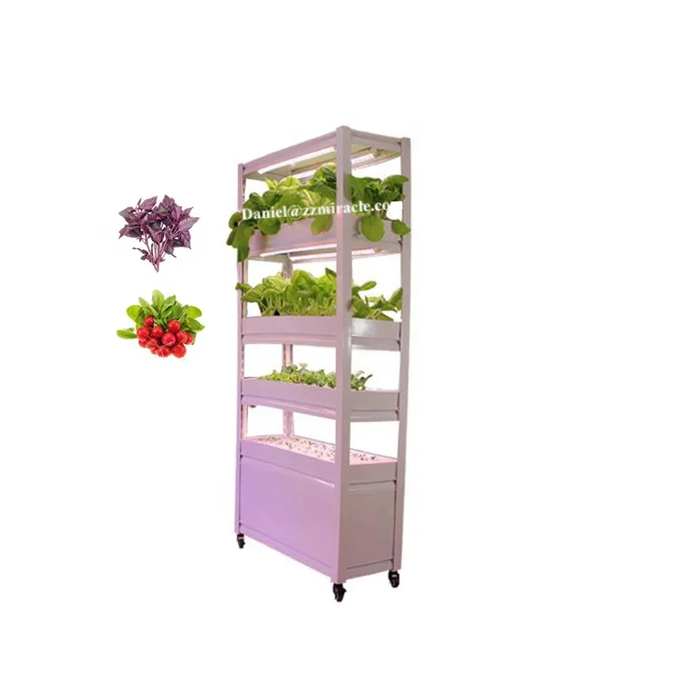 Home Hydroponic Growing Systems Hydroponic Machine for Growing Vegetable