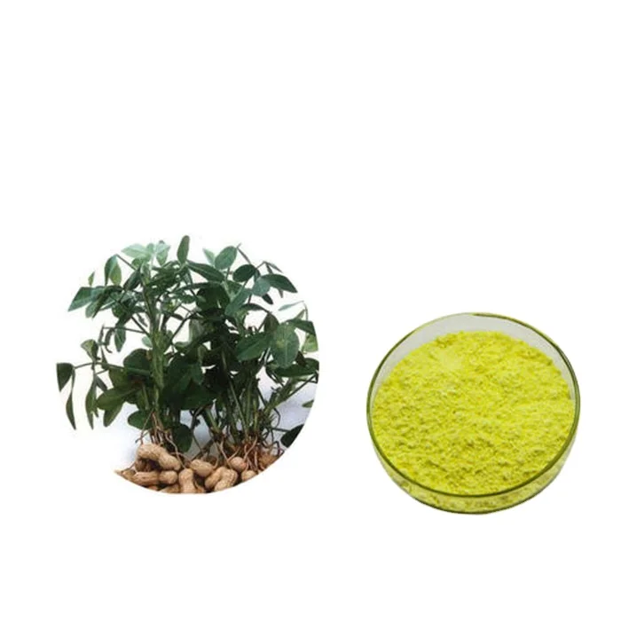 herbal antioxidants Luteolin Extract Powder Luteolin 98