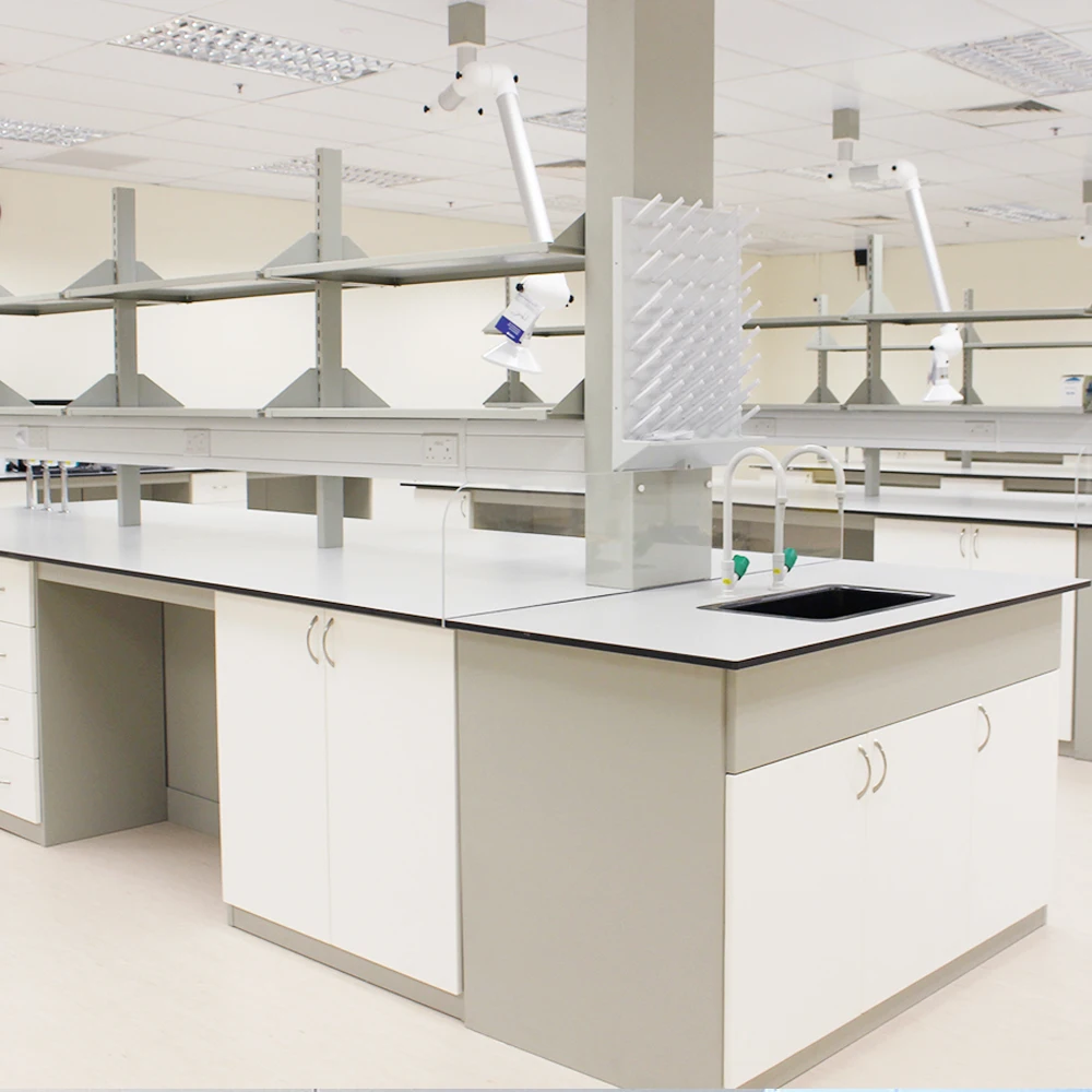 CARTMAY Custom Biotechnology Lab Workbenches Medical Laboratory Tables With Mounted Shelves and Electrical Outlet