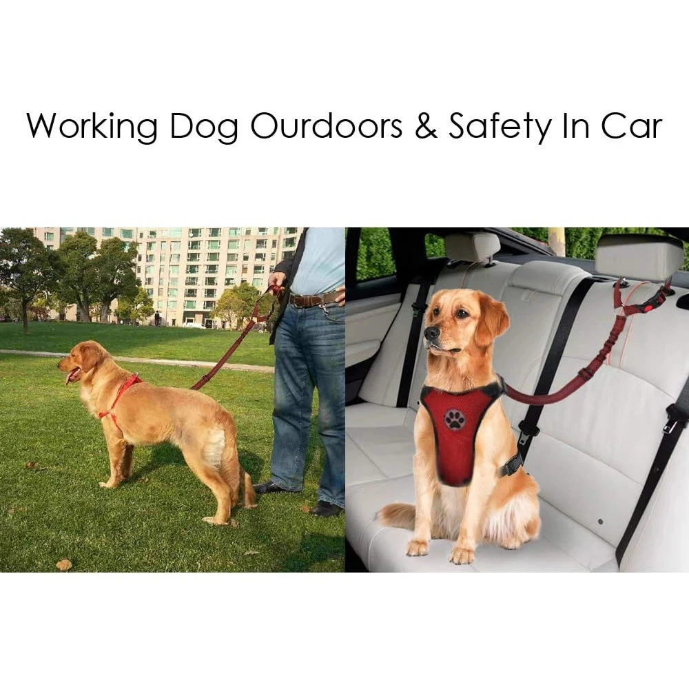 Solid Two-in-one Pet Car Seat Belt Lead Leash BackSeat Safety Belt Adjustable Harness for Kitten Dogs Collar Pet Accessories details