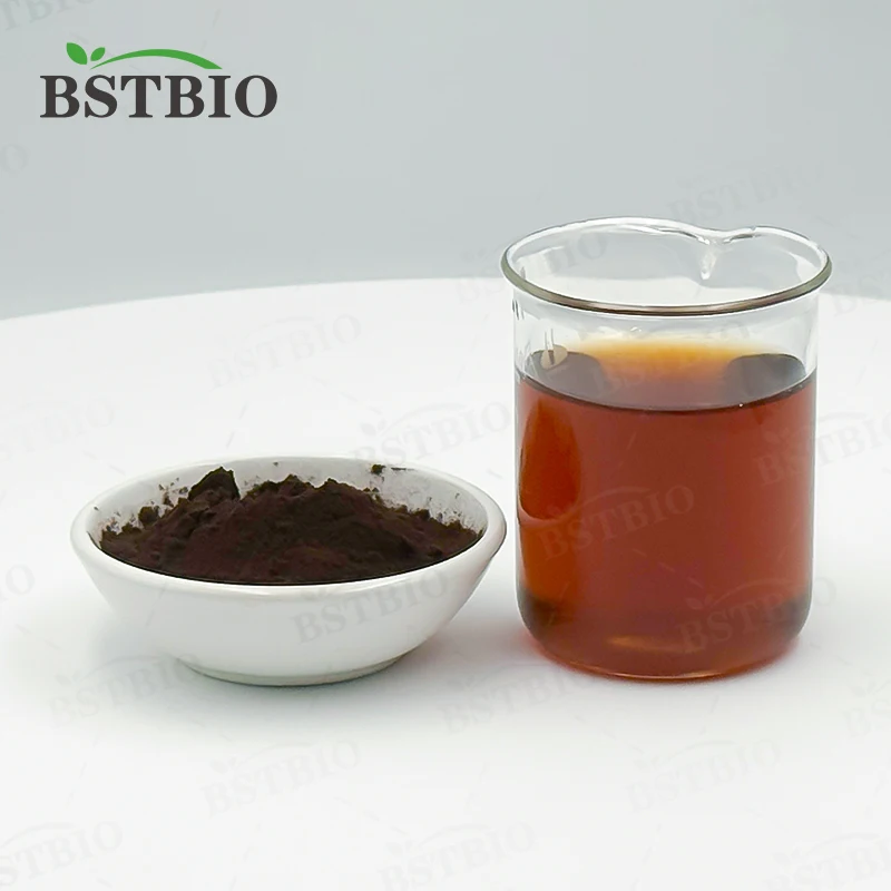 Chaga Mushrooms Price Vegan Organic Chaga Mushroom Extract Powder Private Label Chaga Extract Powder