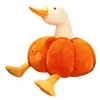 Pumpkin Duck,30cm