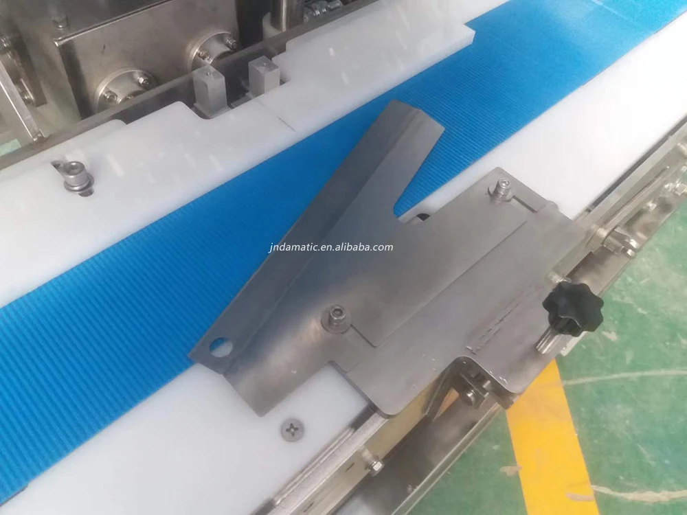 Horizontal Single Lane Conveyor Belt Poultry Food Processing Pork Beef ...