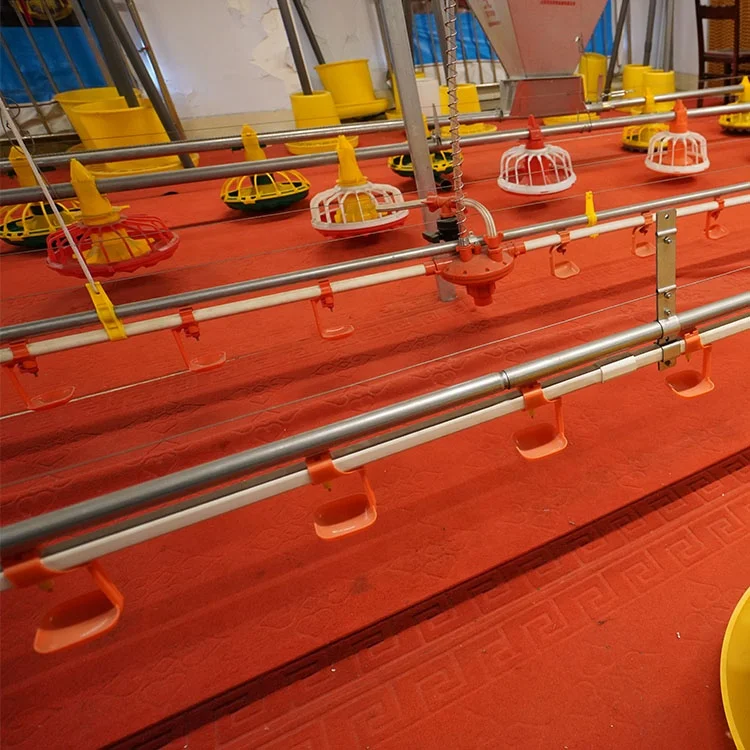 Оборудование для курятника птицефермы система подачи и питья цыплят простые кормушки