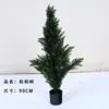 90cm pine and cypress tree