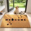 Welcome, little kitten!