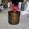 Yellow bronze