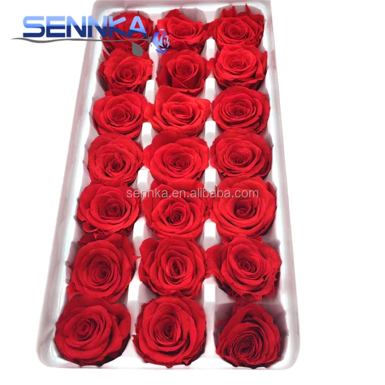 Оптовая продажа, свежий натуральный цветок лучшего качества для украшения