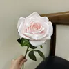 Feel single branch corolla rose - light pink