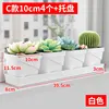 Style C, white, single row of 4 pots, long tray, 39.5cm.