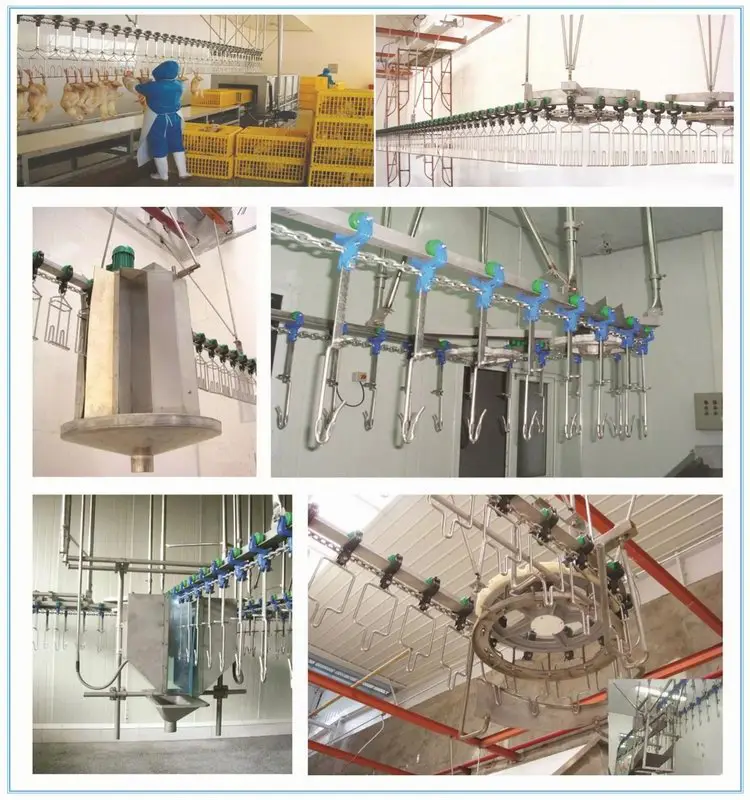 Large poultry processing equipment chicken slaughtering machine