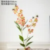 Golden Jasmine Orange