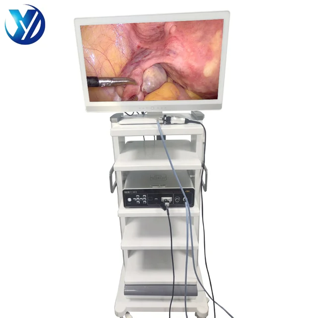 4K 2 in 1 Hospital High Definition Image Flexible Video Gastroscope Colonoscope Rigid Flexible Endoscope Camera System