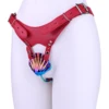 colorful cage + red belt
