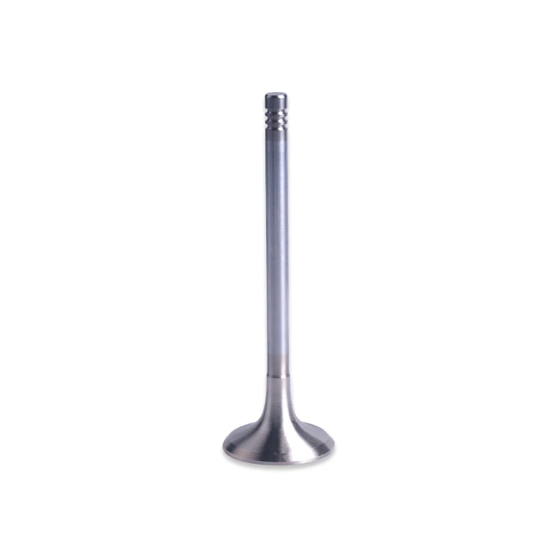 Exhaust Valve For Kawasaki STX Ultra SX-R (2003–2019) – OEM 12005-3703, SBT Brand