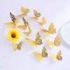 D# Gold [12 pcs per pack]