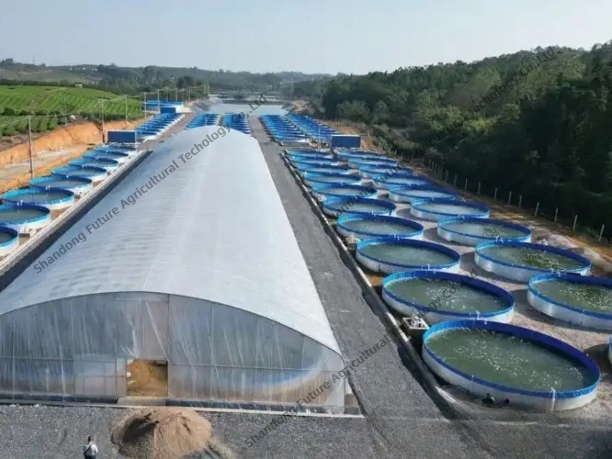 Extra Large Aquaculture Basins - High Capacity Fish Ponds
