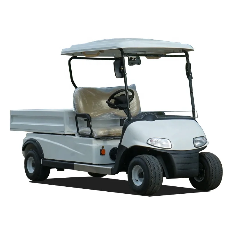 Carrito de golf eléctrico de 4 ruedas blanco Parison de marca china 2025 Precio de venta Buggy de golf eléctrico 2025SDZX12PTPR106