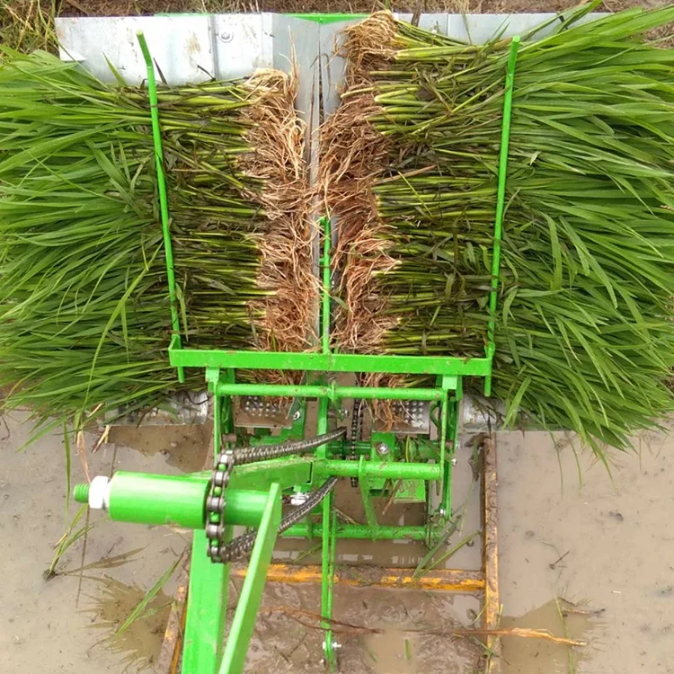 Hand Operated Paddy Transplanter/paddy Planter/rice Planting Machine for Sale