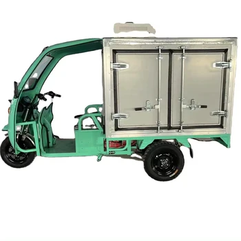 CHANG LI  Electric tricycle mobile freezer with refrigerator function