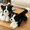 Bordure chien _ 34cm
