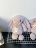 Il timido coniglietto Rosa