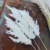 F5