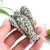 dalmation jasper