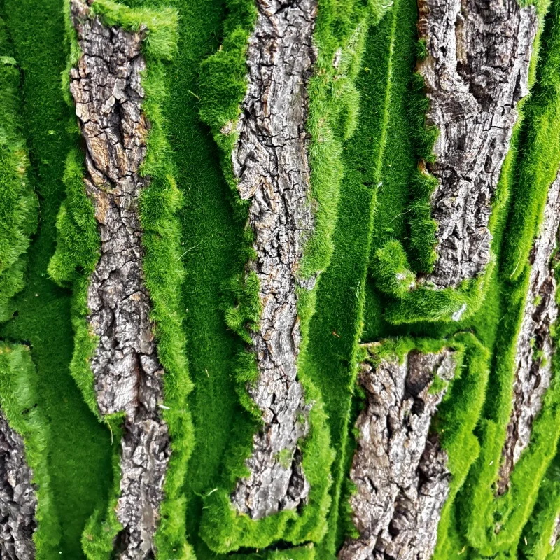 Oak Tree Bark Synthetic Moss Bark Wall Simulate Tree Bark with Moss