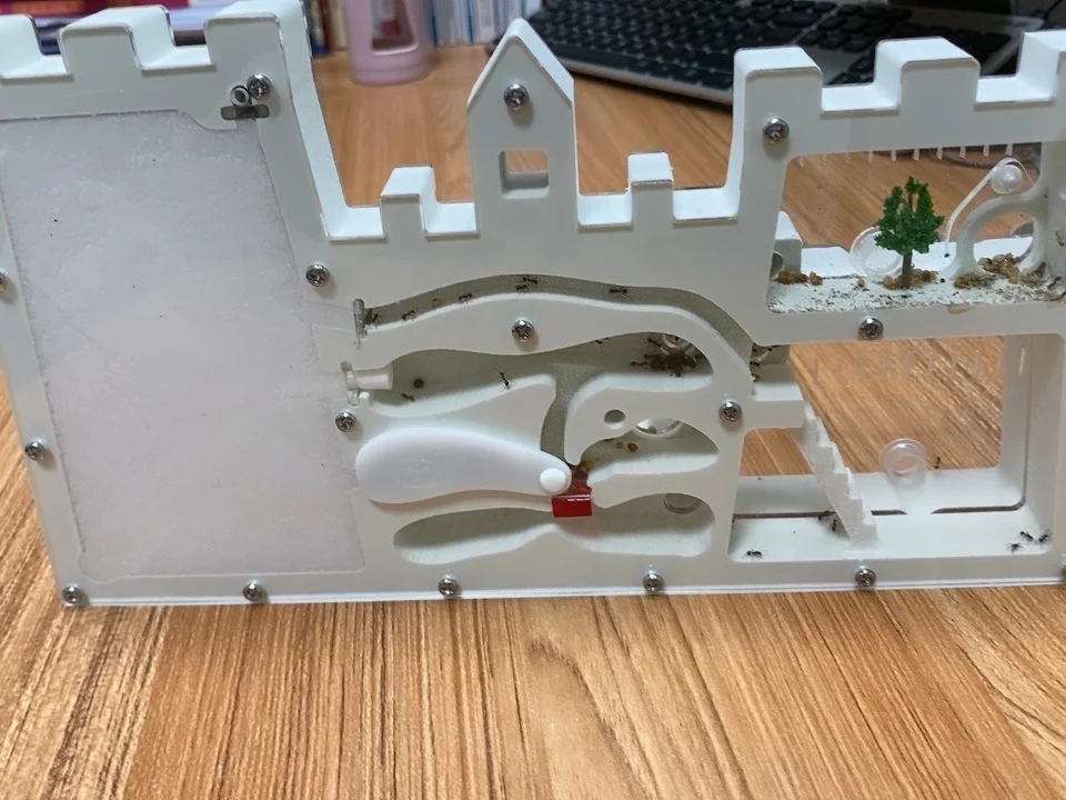 S13 Ant Castle Eco Box - Ant Nest Workshop for Student Observation