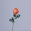 สีส้ม